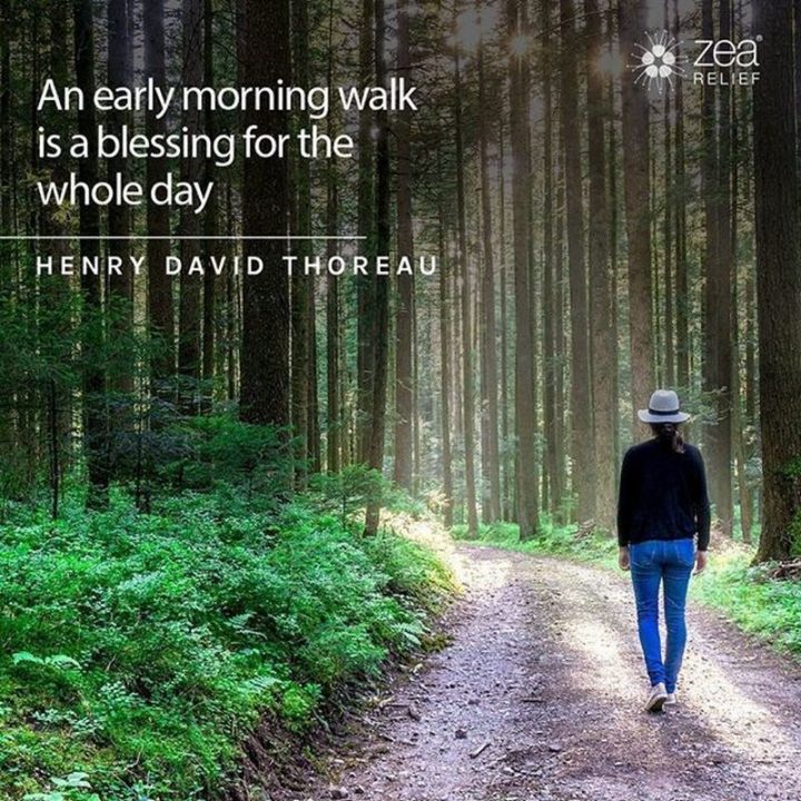 "An early-morning walk is a blessing for the whole day." - Henry David Thoreau