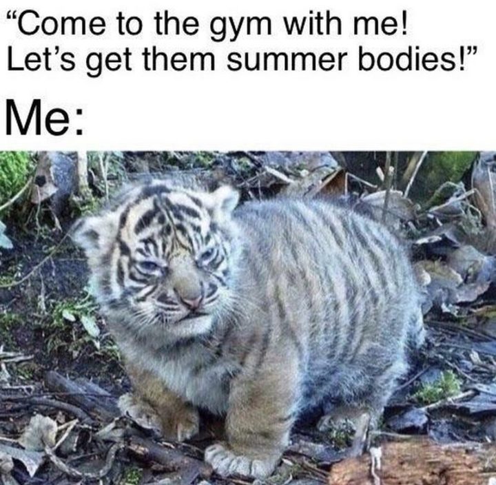 "Come to the gym with me! Let's get them summer bodies! Me:"