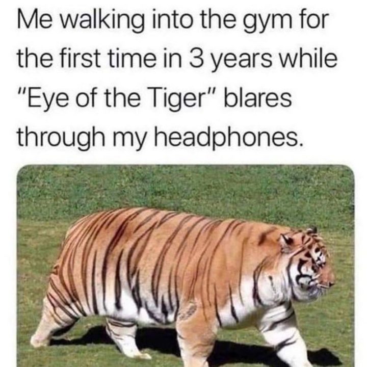 "Me walking into the gym for the first time in 3 years while 'Eye of the Tiger' blares through my headphones."