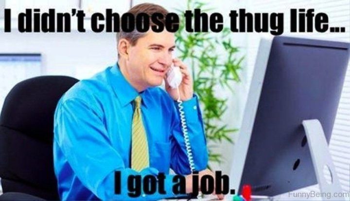 "I didn't choose the thug life...I got a job."