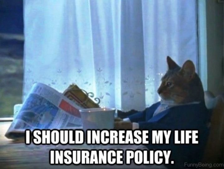 "I should increase my life insurance policy."