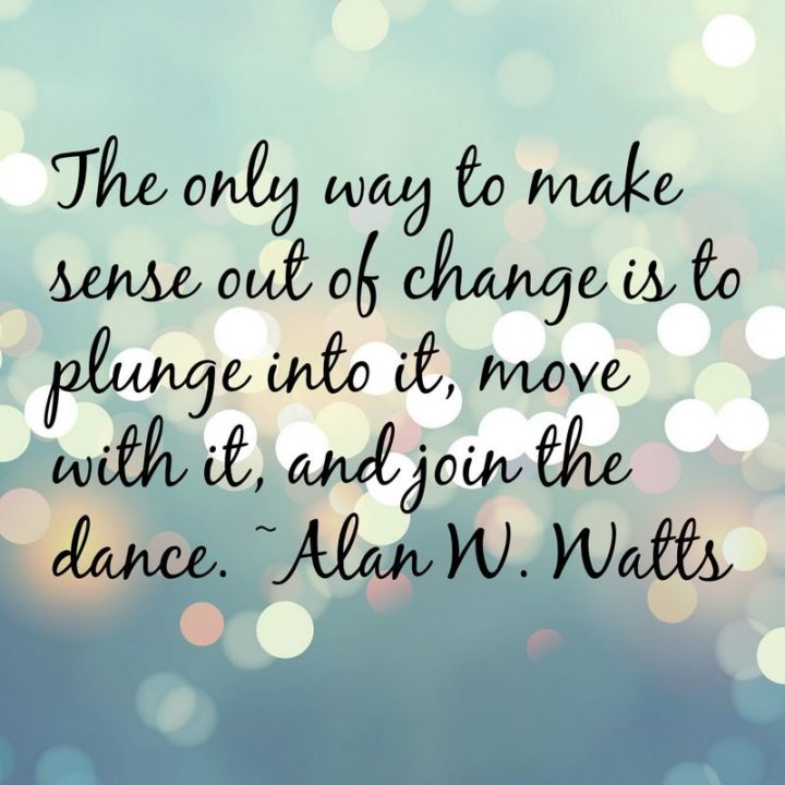 "The only way to make sense out of change is to plunge into it, move with it, and join the dance." - Alan W. Watts