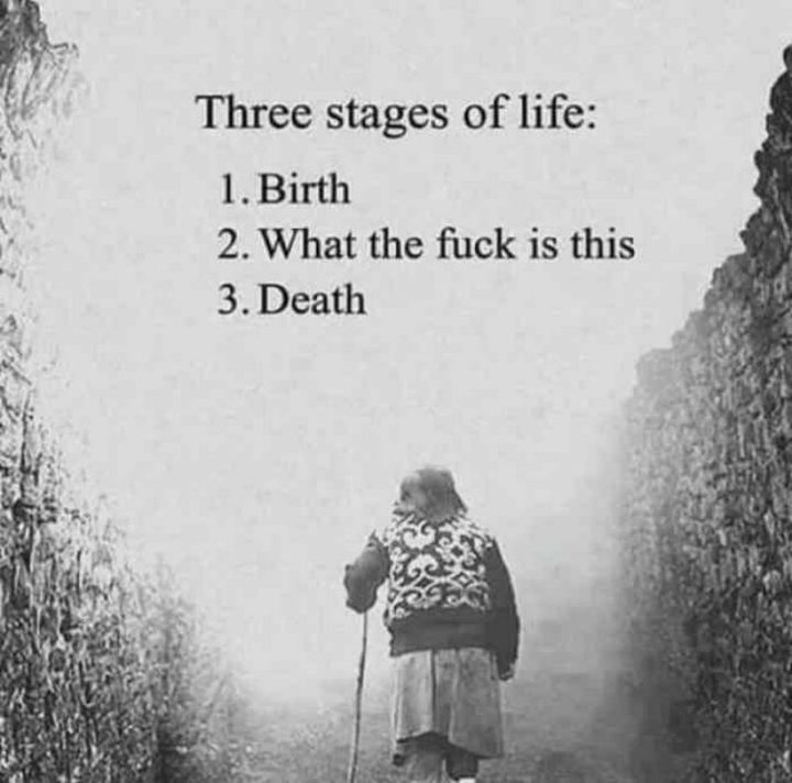 "Three stages of life: 1) Birth. 2) What the [censored] is this. 3) Death."