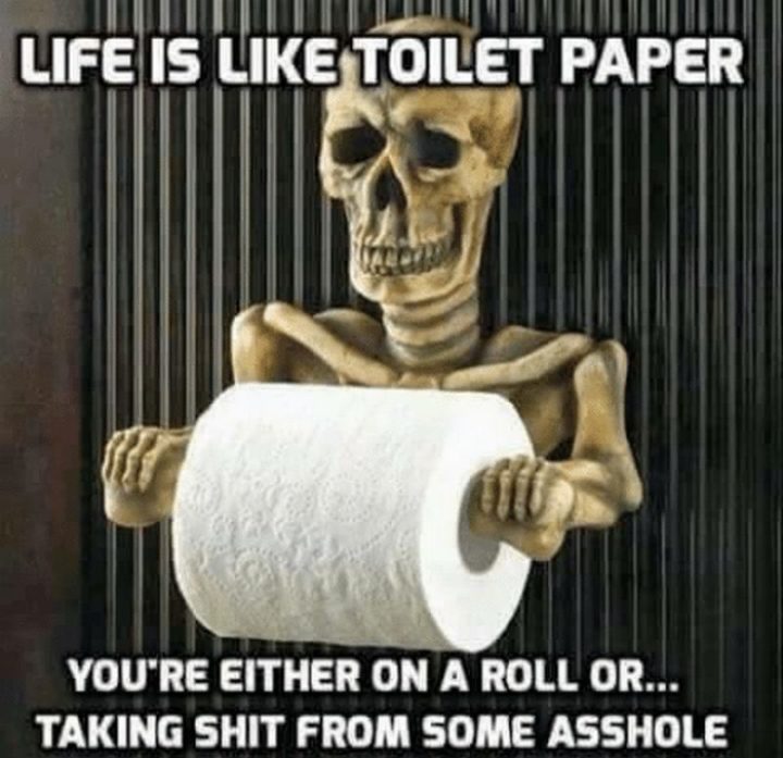 "Life is like toilet paper. You're either on a roll or...Taking $@!t from an @$$hole."