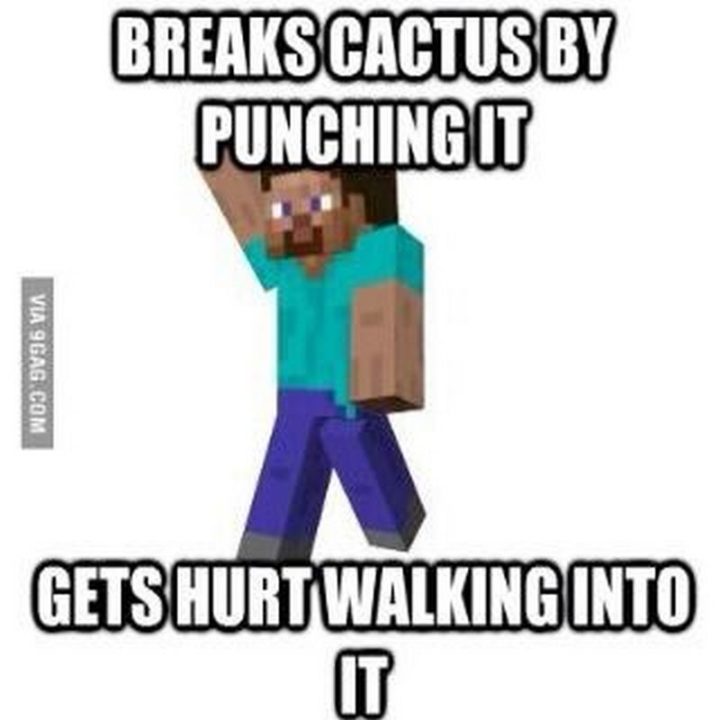 "Breaks cactus by punching it. Gets hurt walking into it."