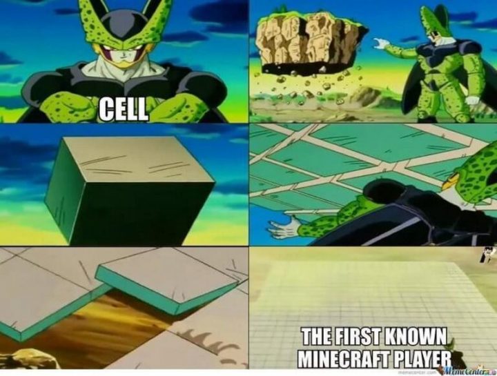 "Cell. The first known Minecraft player."