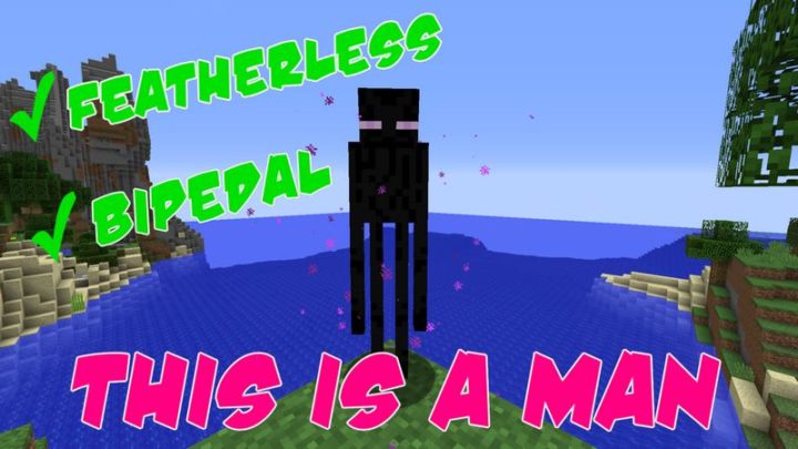 85 Funny Minecraft Memes Celebrating 10 Years Of Gaming Goodness