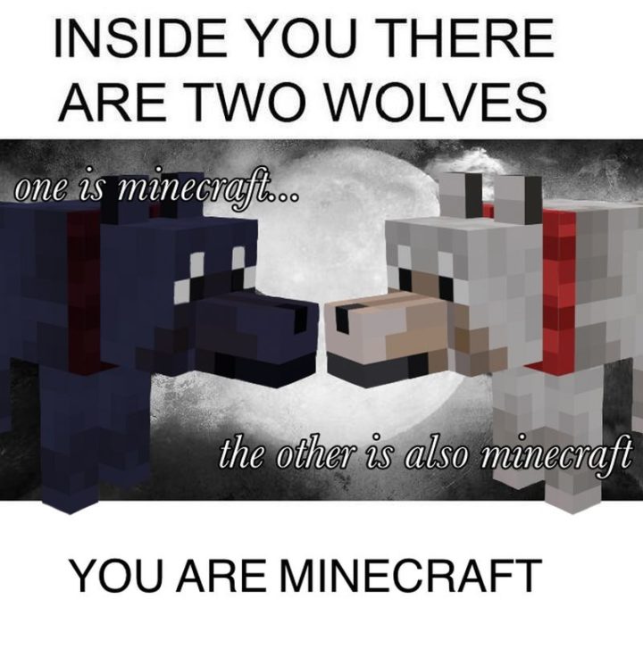 "Inside you, there are two wolves. One is Minecraft...The other is also Minecraft. You are Minecraft."