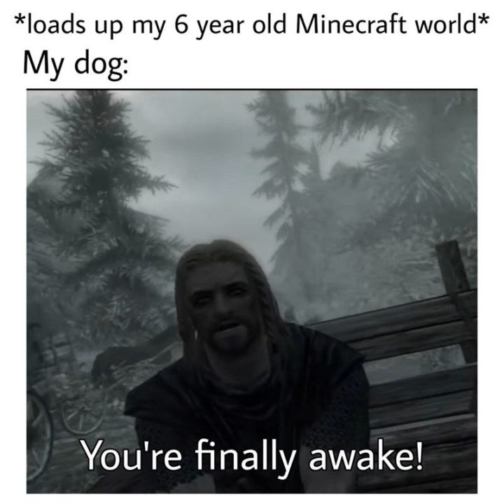 "*Loads up my 6-year-old Minecraft world* My dog: You're finally awake!"