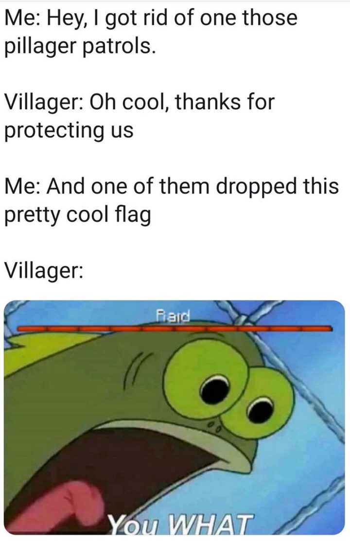 "Me: Hey, I got rid of one of those pillager patrols. Villager: Oh cool, thanks for protecting us. Me: And one of them dropped this pretty cool flag. Villager: You what!"