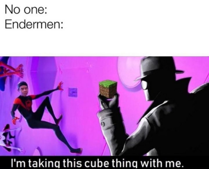 "No one: Endermen: I'm taking this cube thing with me."