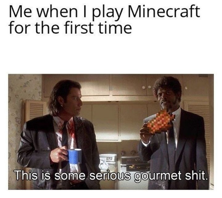 "Me when I play Minecraft for the first time: This is some serious gourmet $#!t."