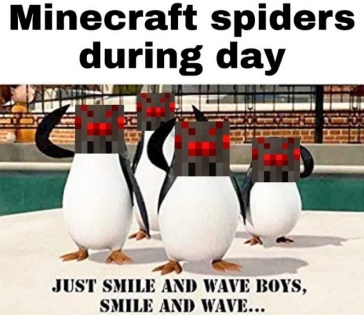 "Minecraft spiders during the day. Just smile and wave boys, smile and wave..."