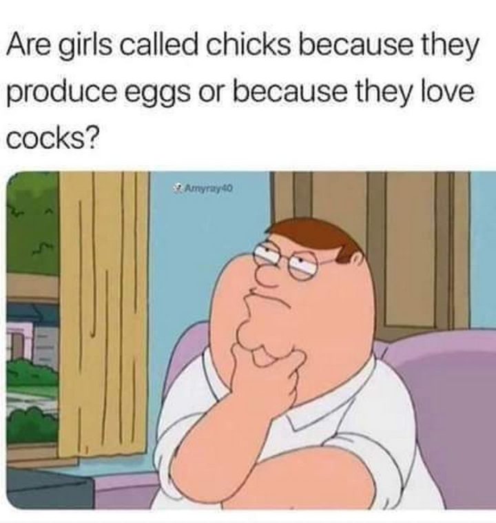 71 Funny Dirty Memes - "Are girls called chicks because they produce eggs or because they love [censored]?"
