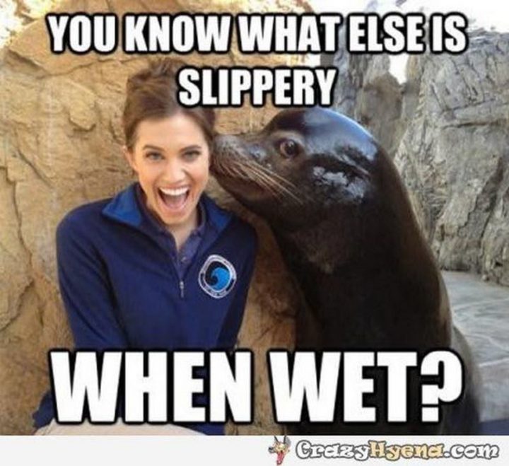"You know what else is slippery when wet?"
