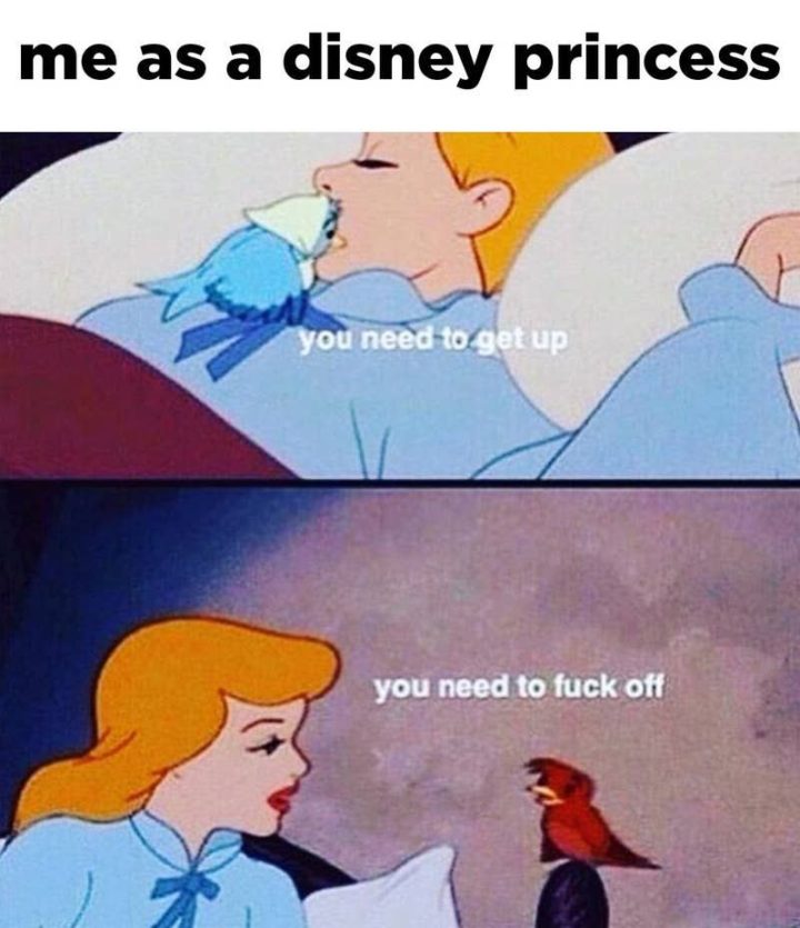 51 Funny Disney Memes - "Me as a Disney princess: You need to get up. You need to [censored] off."