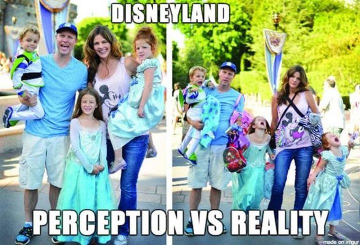 "Disneyland: Perception VS Reality."