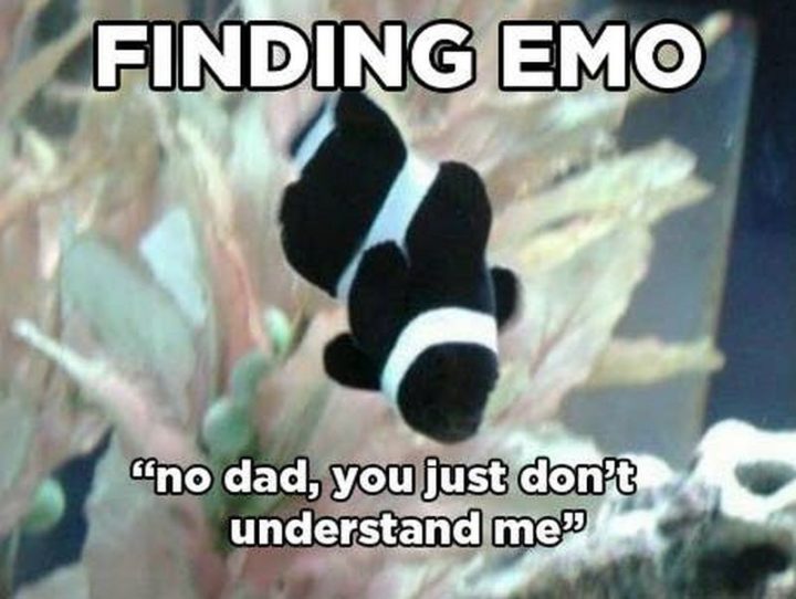 "Finding Emo: 'No dad, you just don't understand me.'"