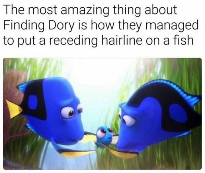 "The most amazing thing about Finding Dory is how they managed to put a receding hairline on a fish."