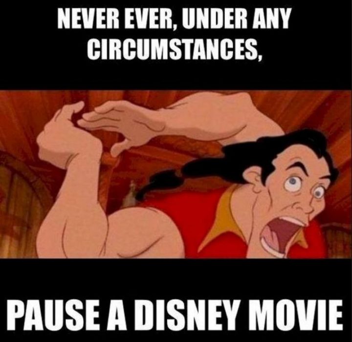 "Never ever, under any circumstances pause a Disney movie."