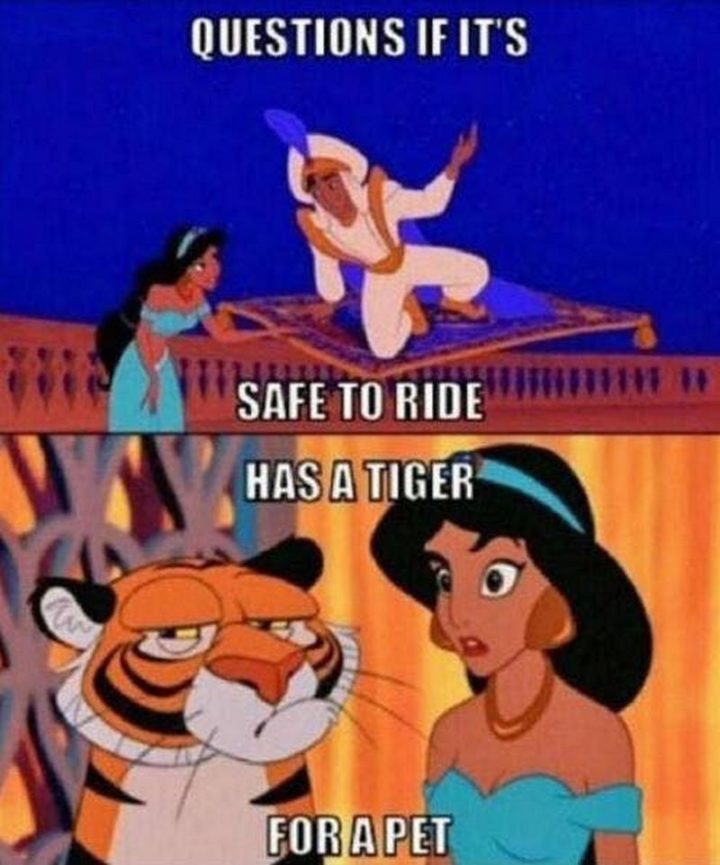 "Questions if it's safe to ride. Has a tiger for a pet."