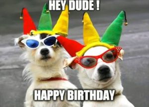 101 Funny Happy Birthday Dog Memes for Paw Lovers Everywhere