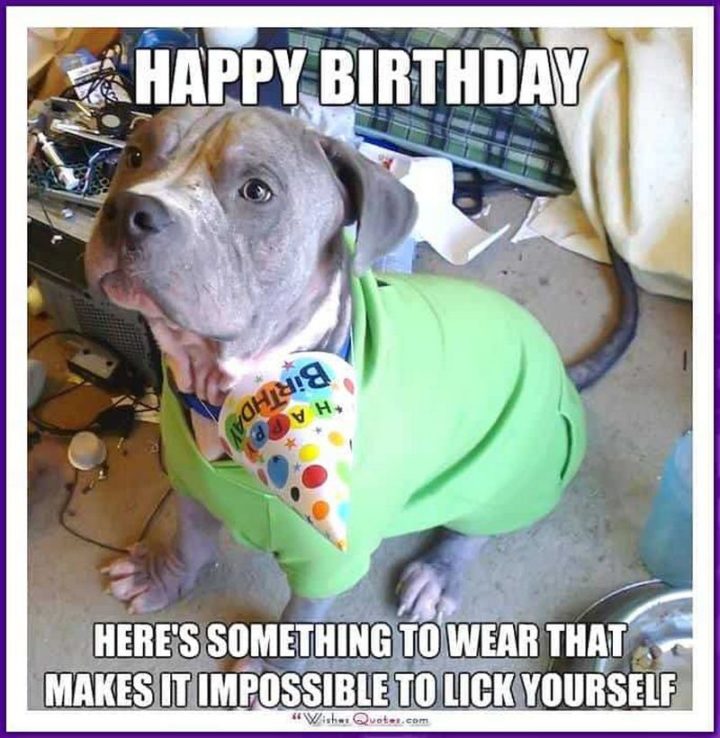 "Happy birthday. Here's something to wear that makes it impossible to lick yourself."