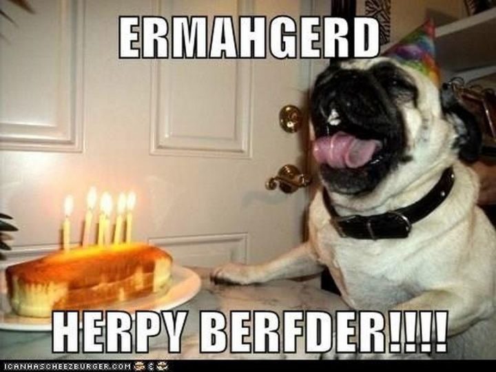 "Ermahgerd. Herpy berfder!!!!"