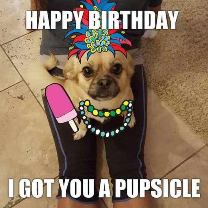 "Happy birthday. I got you a pupsicle."