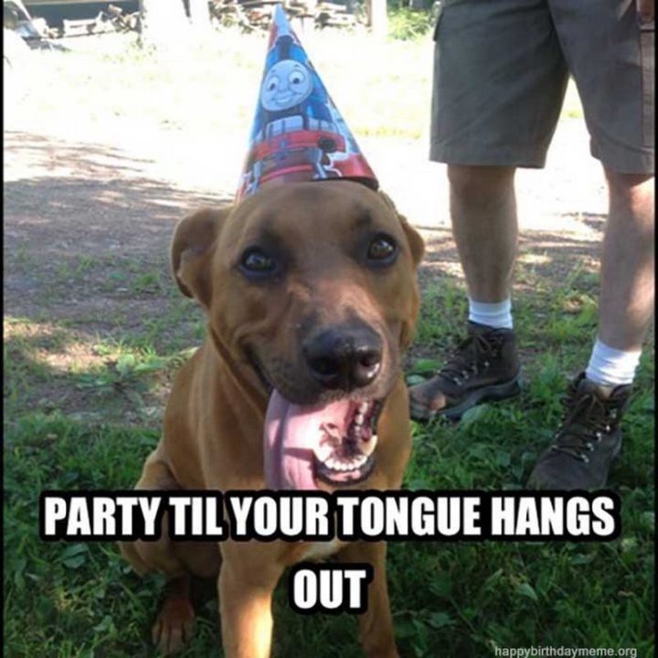 "Party til your tongue hangs out."