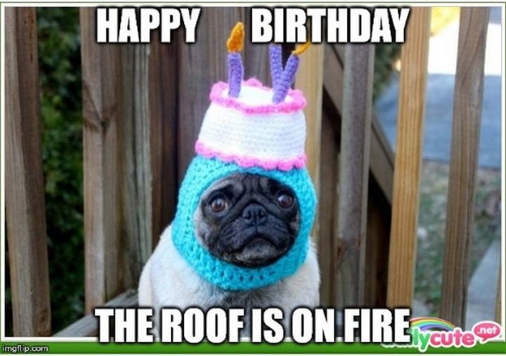 "Happy birthday. The roof is on fire."