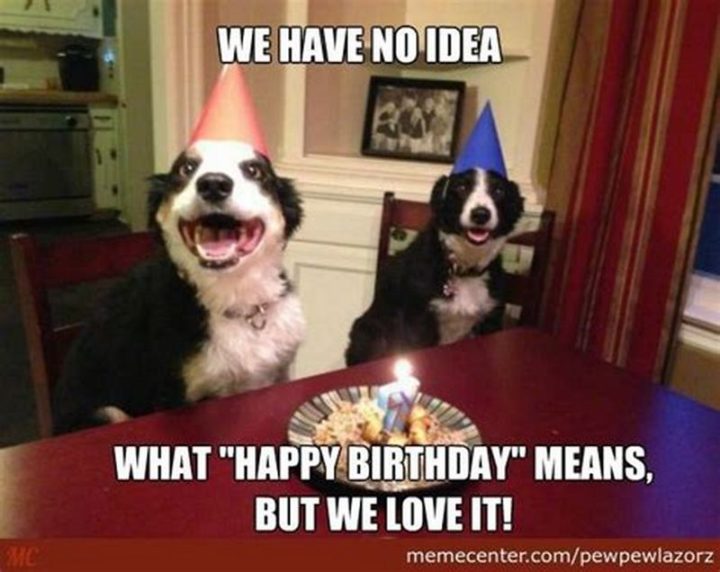 "We have no idea what 'Happy Birthday' means, but we love it!"