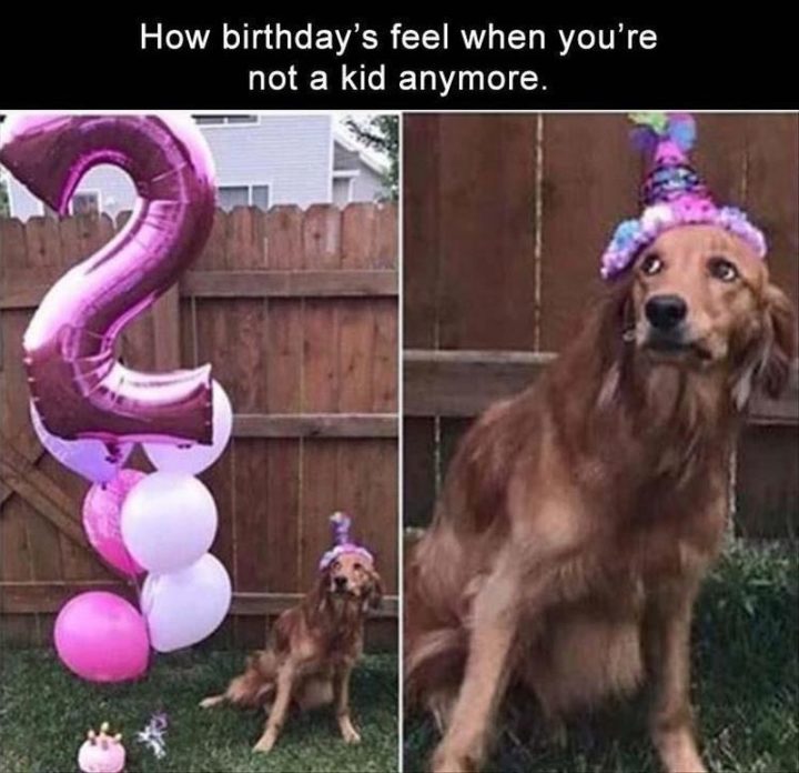 "How birthdays feel when you're not a kid anymore."