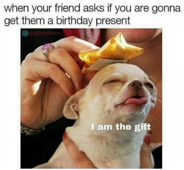 "When your friend asks if you are gonna get them a birthday present: I am the gift."