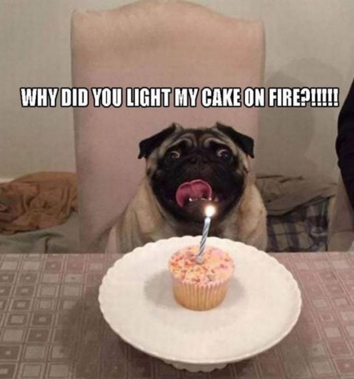 "Why did you light my cake on fire?!!!!!"