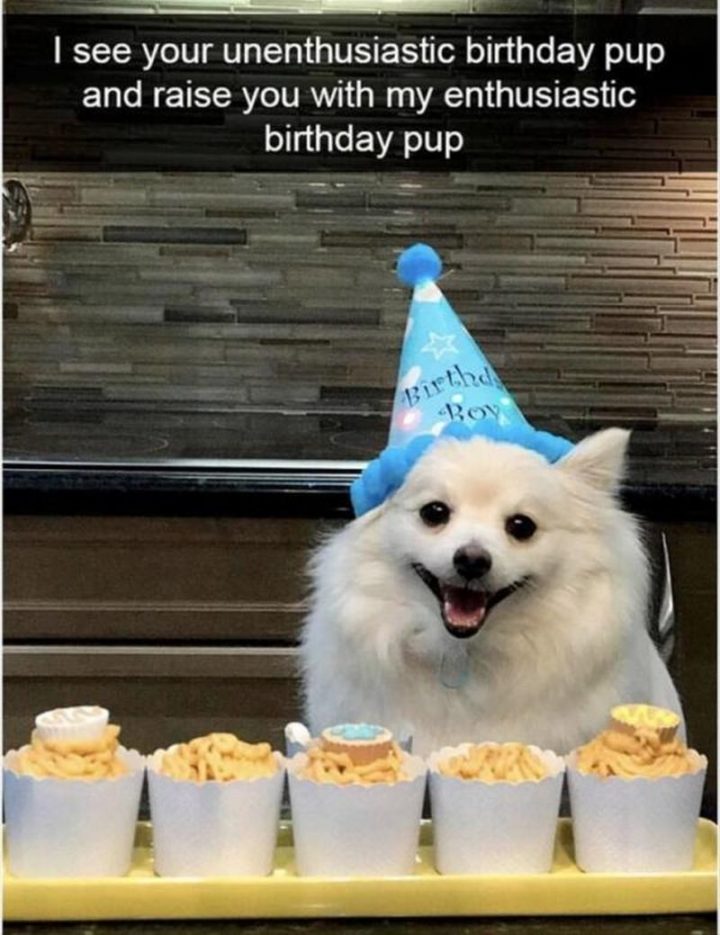 "I see your unenthusiastic birthday pup and raise you with my enthusiastic birthday pup."