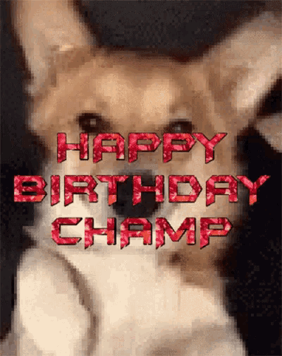 "Happy birthday champ."