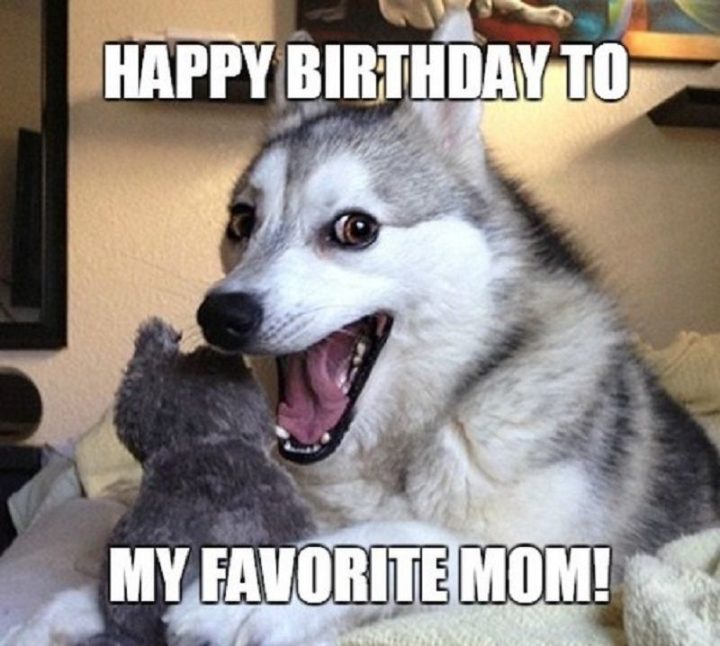 "Happy birthday to my favorite mom."