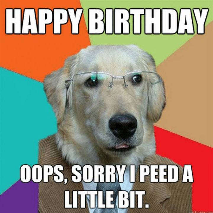 "Happy birthday. Oops, sorry I peed a little bit."