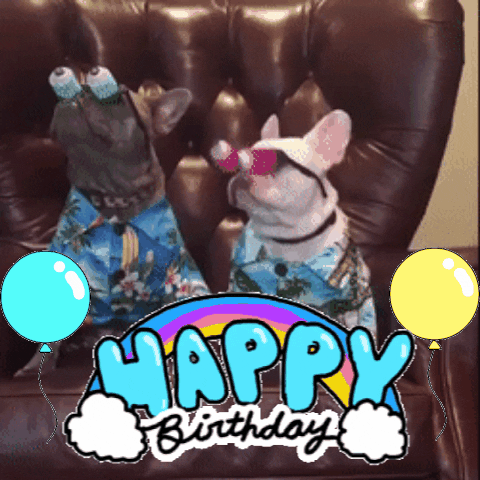 I hope you enjoyed these funny happy birthday dog memes!