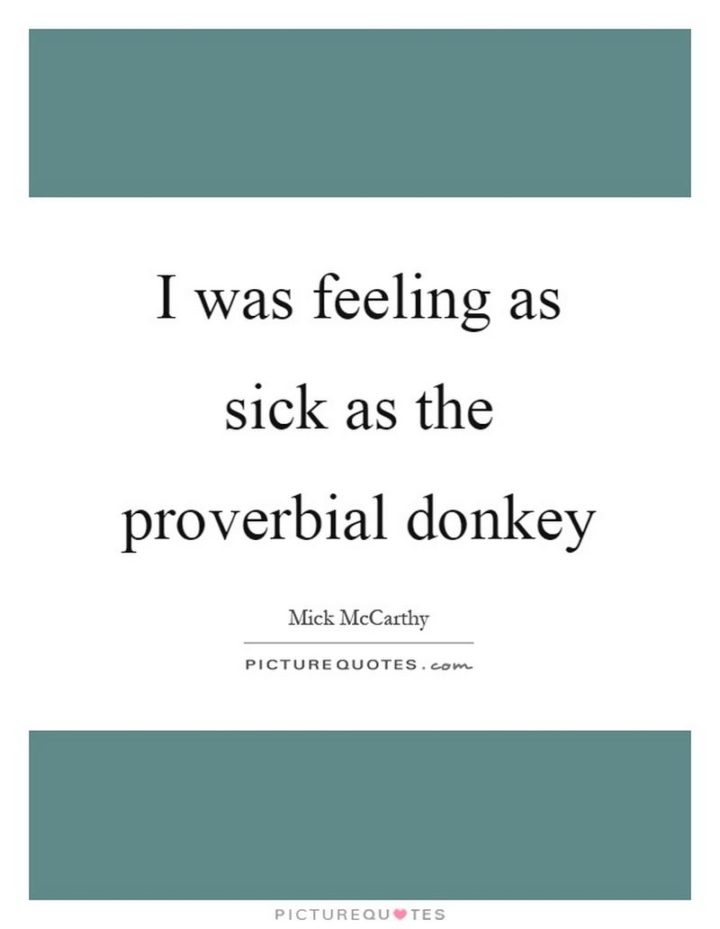 53 Sick Quotes - "I was feeling as sick as the proverbial donkey." - Mick McCarthy
