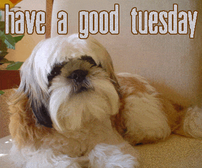 "Have a good Tuesday."