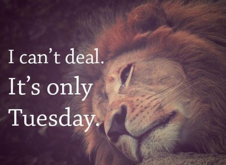 "I can't deal. It's only Tuesday."