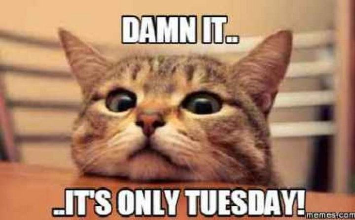 "Damn it...It's only Tuesday!"