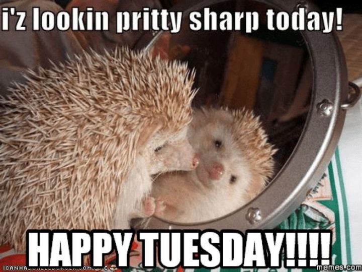 "I'z lookin' pritty sharp today! Happy Tuesday!!!!"