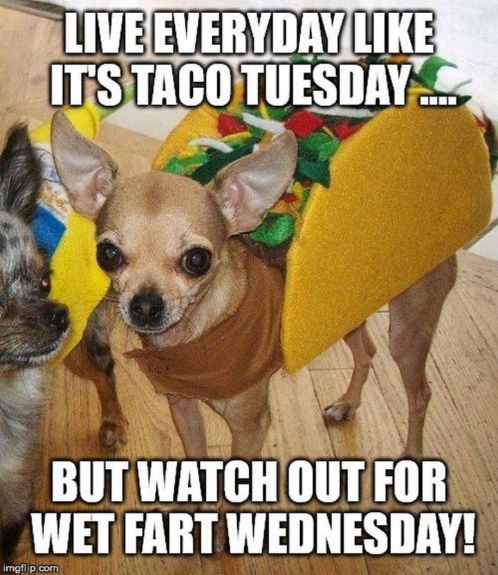 "Live every day like it's taco Tuesday...But watch out for wet fart Wednesday!"