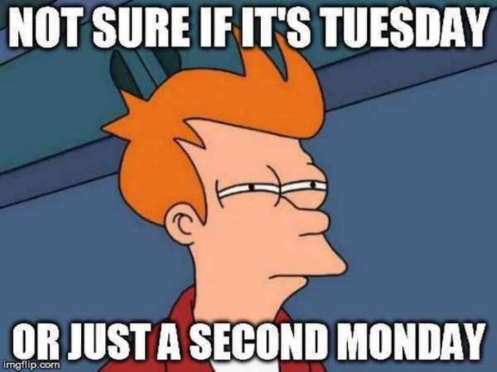 "Not sure if it's Tuesday or just a second Monday."