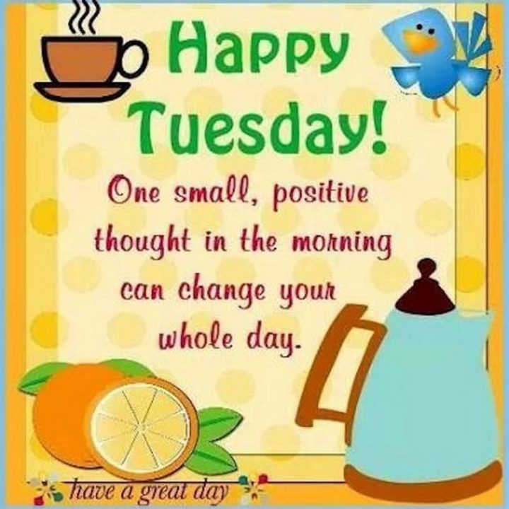 "Happy Tuesday! One small, positive thought in the morning can change your whole day. Have a great day!"