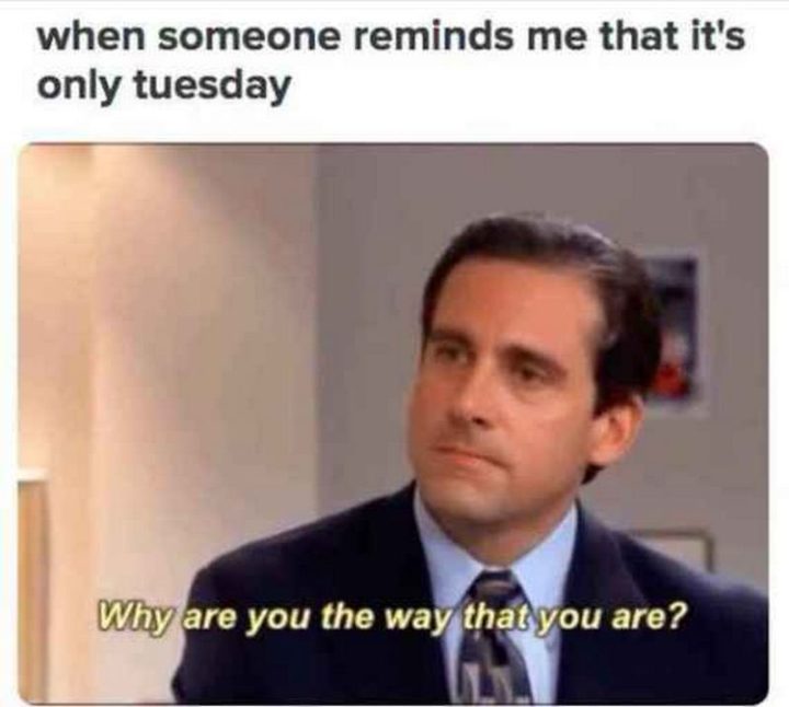 101 Funny Tuesday Memes When You're Happy You Survived a Workday
