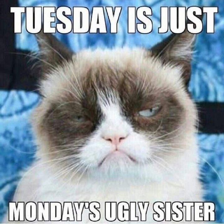 "Tuesday is just Monday's ugly sister."